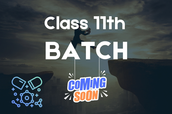 Ambition Batch Course